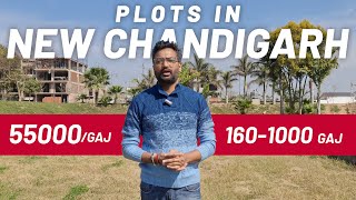 Discovering Plots in New Chandigarh | Exciting Real Estate Developments