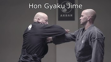 What breaks in a Ninjutsu armlock? Dangerous Locks of Ninjutsu, an Anatomical Summary - AKBAN