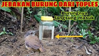 TUTORIAL JEBAKAN BURUNG DARI TOPLES 100% AMPUH