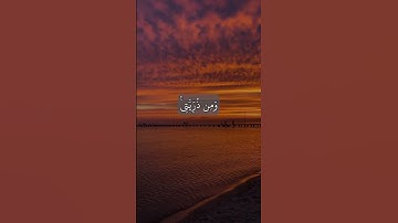 #قران_كريم #قرآن #تلاوات #تلاوة #تلاوة_خاشعة #سورة #عبدالباسط_عبدالصمد