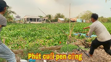 Câu Cá Tra Sông - Cảm Giác Pen Cứng Cần Giật Đã Tay Lắm | Fishing - Miền Tây