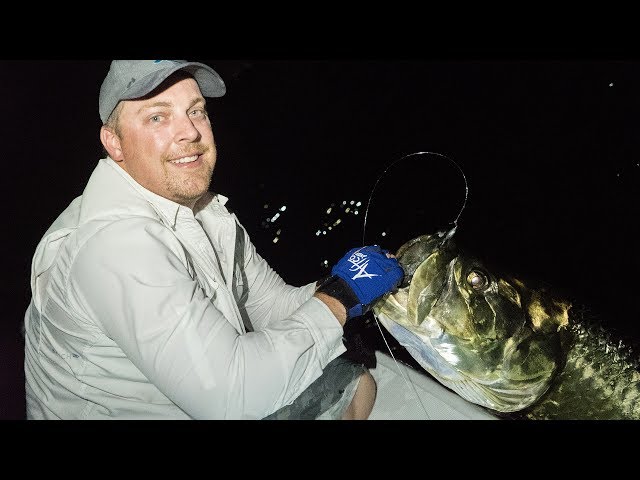 6 Tips for Beach Snook Fishing - The Intrepid Angler