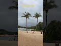 #music #youtubeshortvideo #christmas #song #travel #love #xmas #youtubeshort #palwan #beach #sea