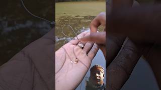 fishing #fishing #amazing #fishingtips #fishingtips #carp #viral