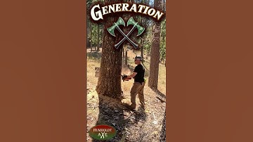 When a Giant Tree Falls… You Feel It. 🌲💥 | Epic Moments in Nature