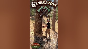 When a Giant Tree Falls… You Feel It. 🌲💥 | Epic Moments in Nature