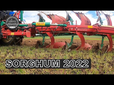 SORGHUM 2022 #FarmVlog 129