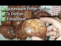 Applesauce Fritter Recipe, To Do List, Exhausted! - Ann&#39;s Tiny Life and Homestead