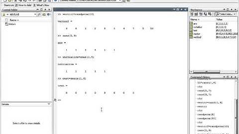 Matlab Sect 32 Creating Vectors with Random Elements