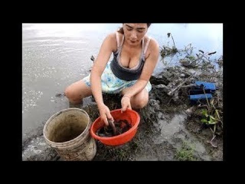 Beautiful Girl Fishing Amazing Fishing at Battambang How To catch fish by hand(21)