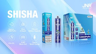 ➼ E-HOOKAH SHISHA: 30+ Flavors Await You