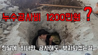 204회. 누수공사비용이 1200만원? 하나만 공사해도 한달 먹고 살겠다 (포천누수현장)