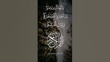 قرآن كريم #سور_القرآن #اكسبلور #قصص_القرآن #duet #2025 #لايك #دويتو #fypage #2024 #راحة_نفسية