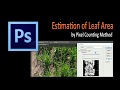 Estimation of leaf area by Pixel Counting Method in Photoshop CS6