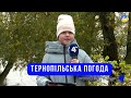 Тернопільська погода на 13 жовтня 2025 року