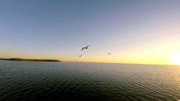 SERENITY | Biscayne Bay | Hyperlite Floss 2 | GoPro