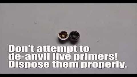 Do Not Attempt To Deanvil Live Primers