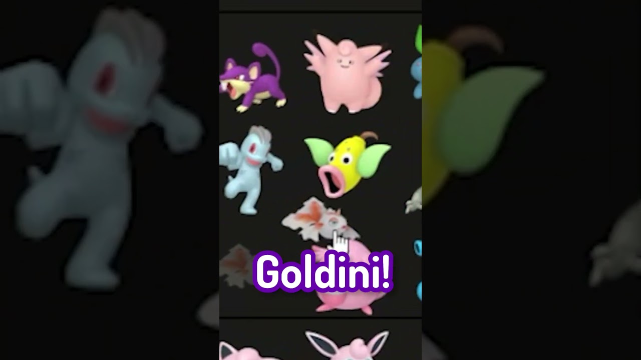 The amazing Goldini!