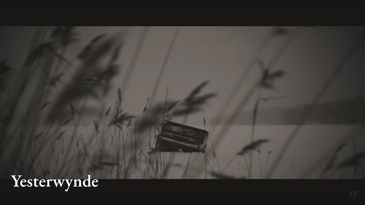 Clips: Deathless Legacy, In The Woods ..., Nightwish ...