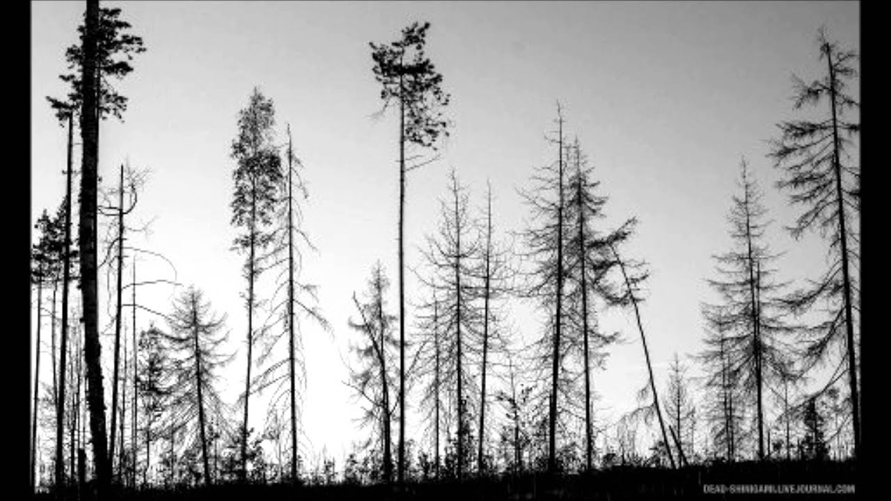 The Soil Bleeds Black - Earthe The Soil Bleeds Black - Earthe
