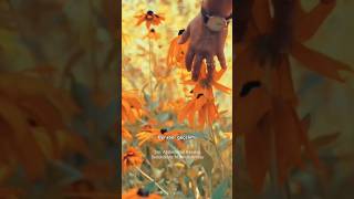 Sırattan Incedir Sevda Köprüsü Beraber Geçelim Tür Ellerimden