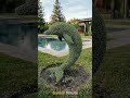 Satisfying Dolphin-Shaped Landscape Design🐬🌳