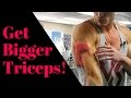 How To Get Bigger Triceps (The Truth)