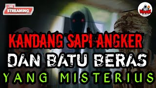 LIVE DARI KANDANG SAPI ANGKER dan BATU BERAS#yputuber#youtube