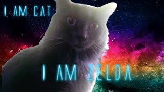 OK FINE, MEET MY CAT