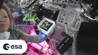 Veggie: Growing plants for science