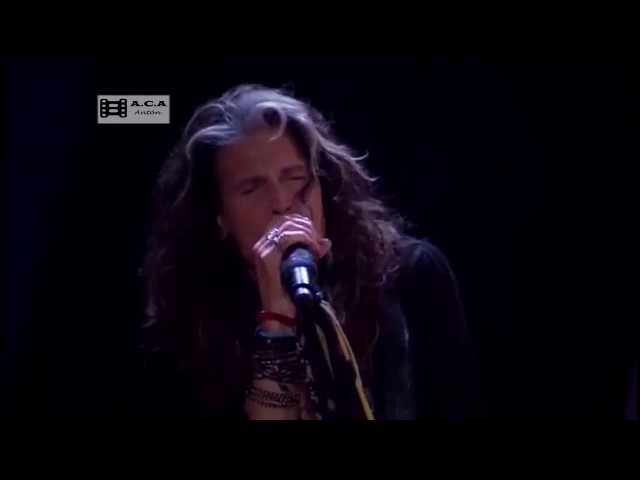 Steven Tyler - What it takes (Acoustic)