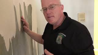 Wallpaper Removal (Do’s and Dont’s) - Spencer Colgan