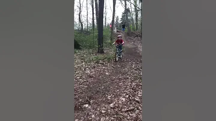 Tree jumps out in front of 7 year old