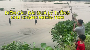 Điểm câu đài cho ae mê câu cá chép  #video #fishing