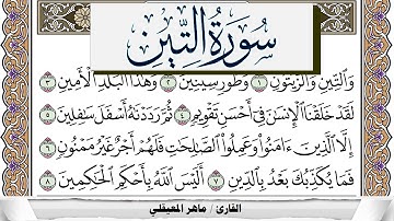 سورة التين مكتوبة ماهر المعيقلي Surah Al Teen Maher Al Muaiqly برواية حفص عن عاصم