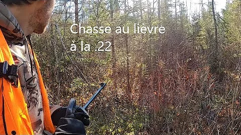 Chasse au livre  la .22 /Catch and cook