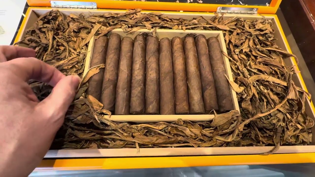 Smoking my own hand rolled cigars made at the La Aurora Factory in the Dominican Republic 🇩🇴