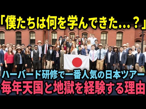 【海外の反応】「本当に日の沈む国なのか…？」ハーバード大学生が初めての日本ツアー研修…わずか9日間で価値観崩壊した理由とは？のサムネイル