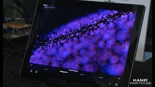 Kanzi Particles