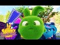 Cartoons for Children | SUNNY BUNNIES - DANCE BATTLE | Funny Cartoons For Children