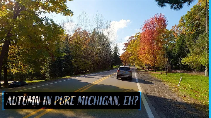 AMAZING Fall Foliage In Southeast Michigan | Scenic Drive 5K