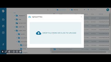 How to Upload Wordpress Theme From Cpanel Or Direct Admin