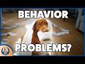 Behavior Is Communication Decode Your Dog By Understanding Their 5 Core Needs 309 Podcast Behavior Is Communication Decode Your Dog By Understanding Their 5 Core Needs 309 Podcast