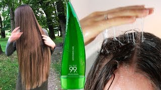 СУПЕР МАСКА ДЛЯ ВОЛОС за 3 минуты 🌵 Рецепт маски с гелем алоэ Holika Holika 🌴 POLI NA PALME СУПЕР МАСКА ДЛЯ ВОЛОС за 3 минуты 🌵 Рецепт маски с гелем алоэ Holika Holika 🌴 POLI NA PALME