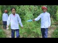 Family in the Jungle || Kids are going school || Season -2 || Video - 70 || Rural Nepal ||