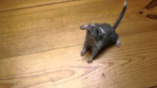 Czy To Jest Epilepsja