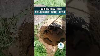 💩 Poo in The Grass?! Drain Unblocking South Brent | Devon #shorts
