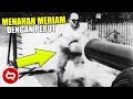 Punya Kekuatan Super! 10 Manusia Paling Kuat Di Bumi