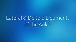 Outer & Inner Sprained Ankle (Lateral & Deltoid Ligaments) Strength Exercises | Dr. Ben E. Benjamin