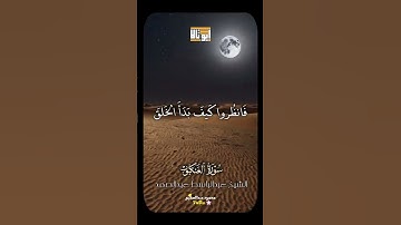 تلاوة خاشعة مبكية 🥹 للشيخ عبد الباسط عبد الصمد #قرآن